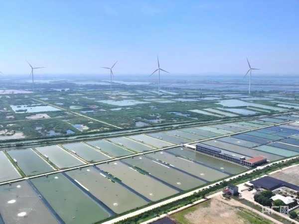 中金优配 高质量发展看中国｜渔光一体 万亩水域“点绿成金”